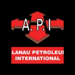 API BUSINESS icon