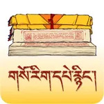 藏医药经典 icon