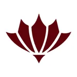 Cinco Ranch 311 icon