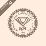 Verify Report (AI) icon