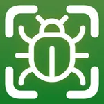 Insect Identifier by Picture icon