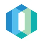 IdeaTek Voice Pro icon