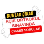 Açık Ortaokul Testleri icon
