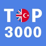 Most Common Turkish Words icon