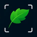 Leaf Identification: Leafzy icon