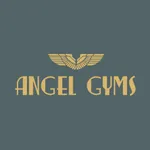 Angel Gyms icon