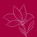 SWEET FLOWERS | Владивосток icon
