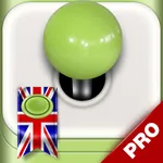 Learn English with Lingo Arcade PRO icon