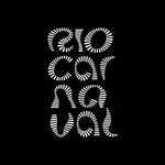 Rio Carnaval 2025 icon