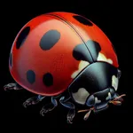 Picture Insect Bug Identifier icon
