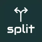 Easy Splitter icon