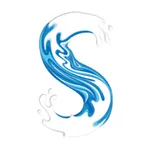 Second Wave Vintage icon