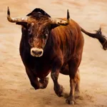 Bull Fighting Games-Bull Games icon
