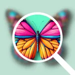 Photo Magnifier - Focus Lens icon
