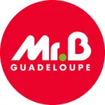 Mr. Bricolage Guadeloupe icon