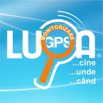 Lupa GPS icon