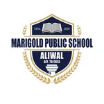 MPS Aliwal icon