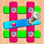 Screw Puzzle Game Nuts & Bolts icon