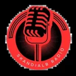 SkandiAlbRadio icon
