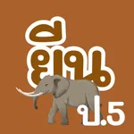 VR ป.5 ยีน icon