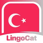 Learn Turkish - LingoCat icon