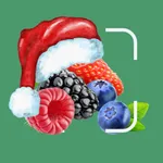 Glycemic Index Tracker LOGI icon