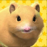 Play with your hamster icon