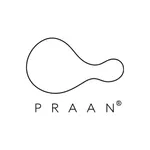 Praan HIVE icon