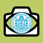 San Diego Guide and Subway map icon