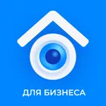 Триколор Видеонаблюдение B2B icon