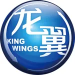 掌上龙翼 icon