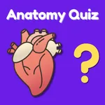 Anatomy Quiz: Trivia Body Game icon