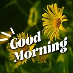 Good Morning Brithday GIFs icon