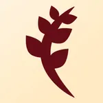 Candira | كانديرا icon