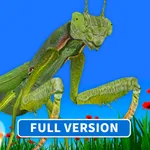 Bugs & Insects (Full Version) icon