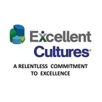 Achieving Excellent Culture icon