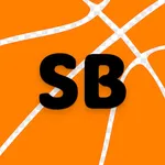 Spikeball Tournaments icon
