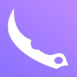 DMSKINS icon