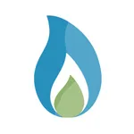 גז המעיינות icon