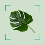 Identify Plant: Disease Care icon