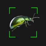 Bug & Insect ID Identification icon