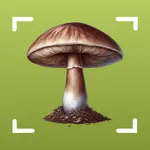 Picture Mushroom-Identifier,AI icon
