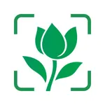 Plant Identification Diagnosis icon