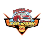 Popular Car Wash icon