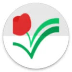 Татар теле 2024 icon