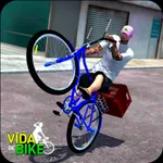 Vida de Bike - Brasil icon