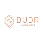 BUDR Cannabis icon