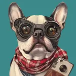 Dog Breed AI Photo Scanner icon