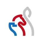 Šachy v ČR icon
