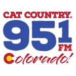 Cat Country 95.1 icon